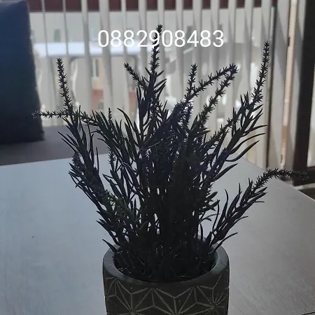 Apartament Krastev & Petkov Primorsko